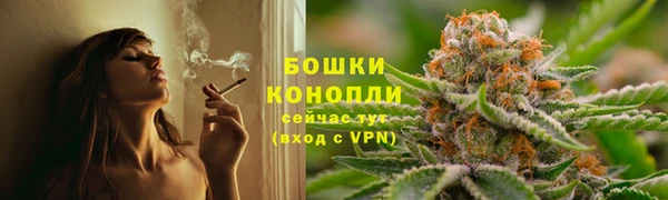сатива Богородицк