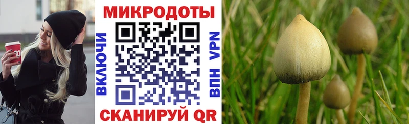 Псилоцибиновые грибы мицелий  сайты даркнета телеграм  Наро-Фоминск  цена  